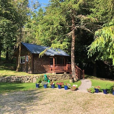 Willow Lodge Dublino Esterno foto