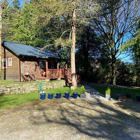 Willow Lodge Dublino Esterno foto
