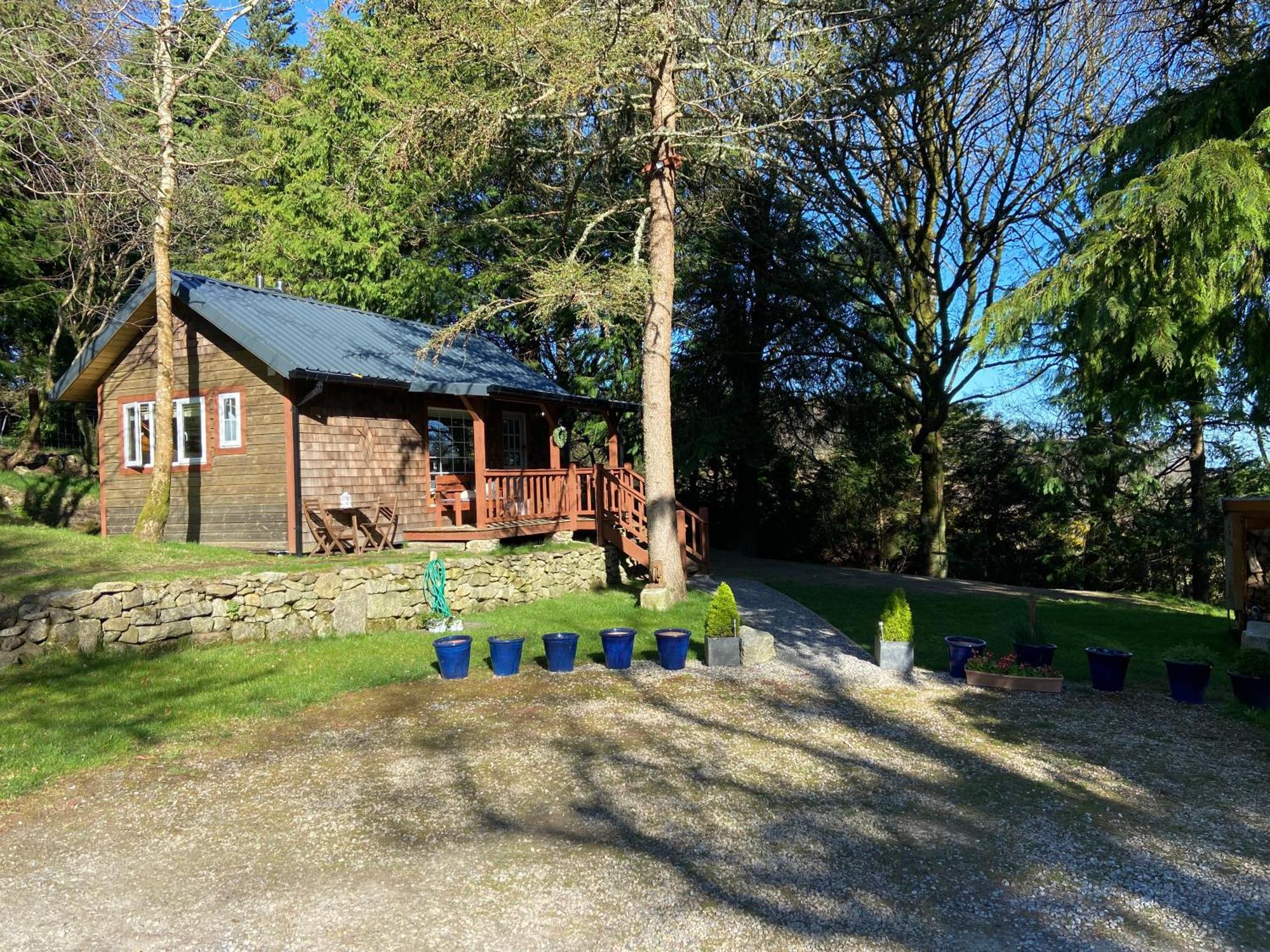 Willow Lodge Dublino Esterno foto